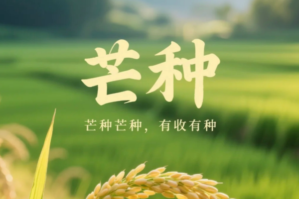 【十八碗湘菜·芒种食鲜】新麦初香，青梅正润，一口尝尽仲夏鲜!