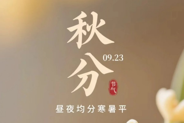 小炒十八碗，碗碗有湘魂：从剁椒鱼头到小炒黄牛肉，舌尖上的湖南